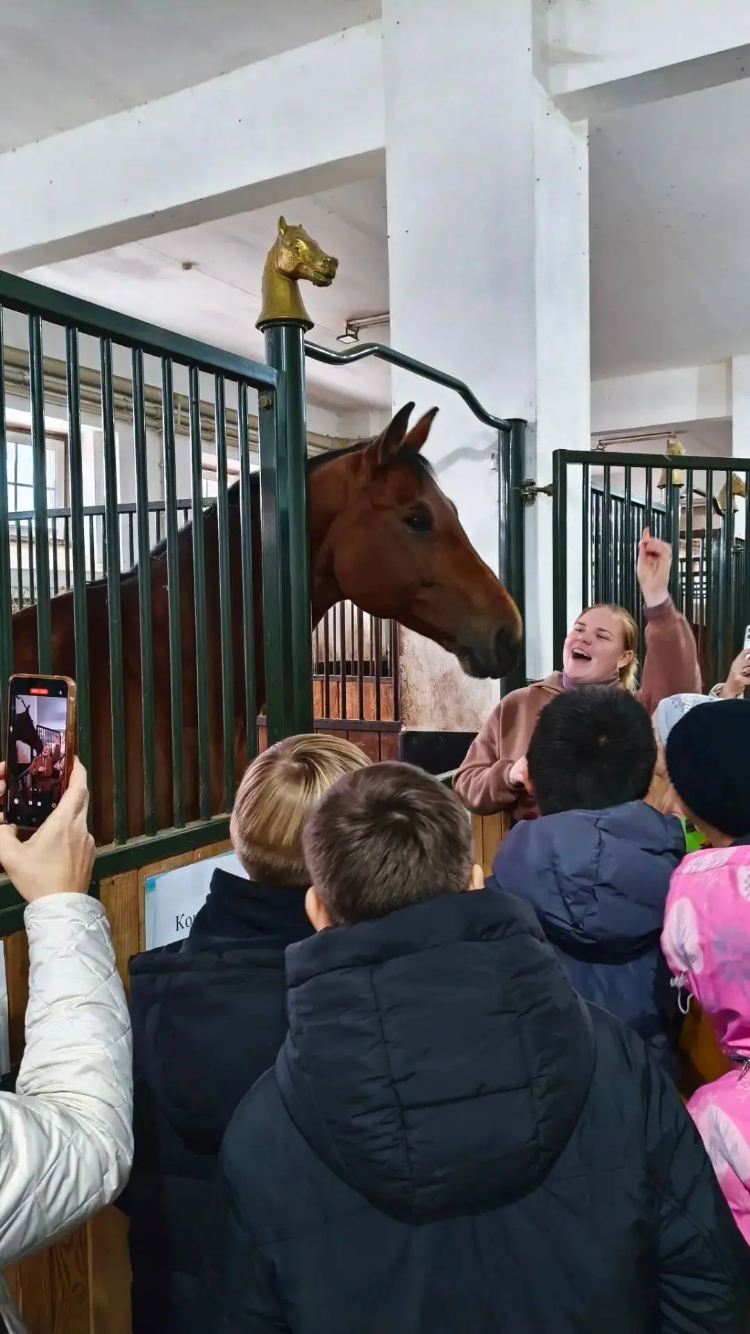 ЙОШКАР-ОЛА + ЛОШАДИ = ИДЕАЛЬНЫЙ ДЕНЬ 🐴✨