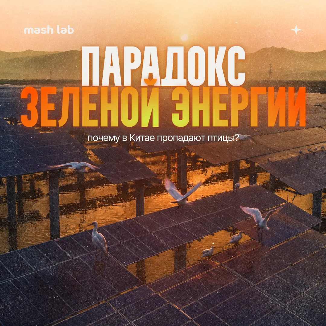 Ученые тут подсчитали: чем сильнее власти Китая топили за зеленую энергетику в последни...