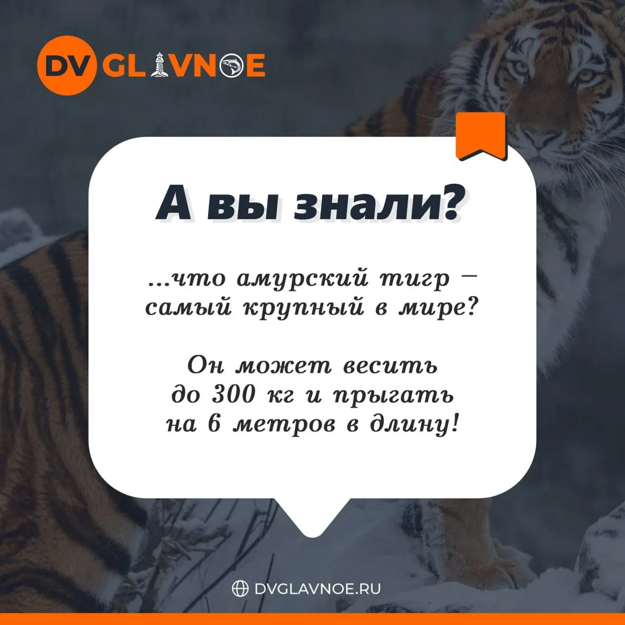 А Вы знали?