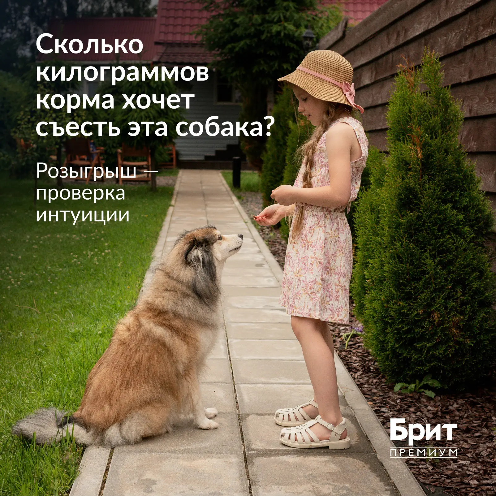 🐾 Битва экстрасенсов продолжается!