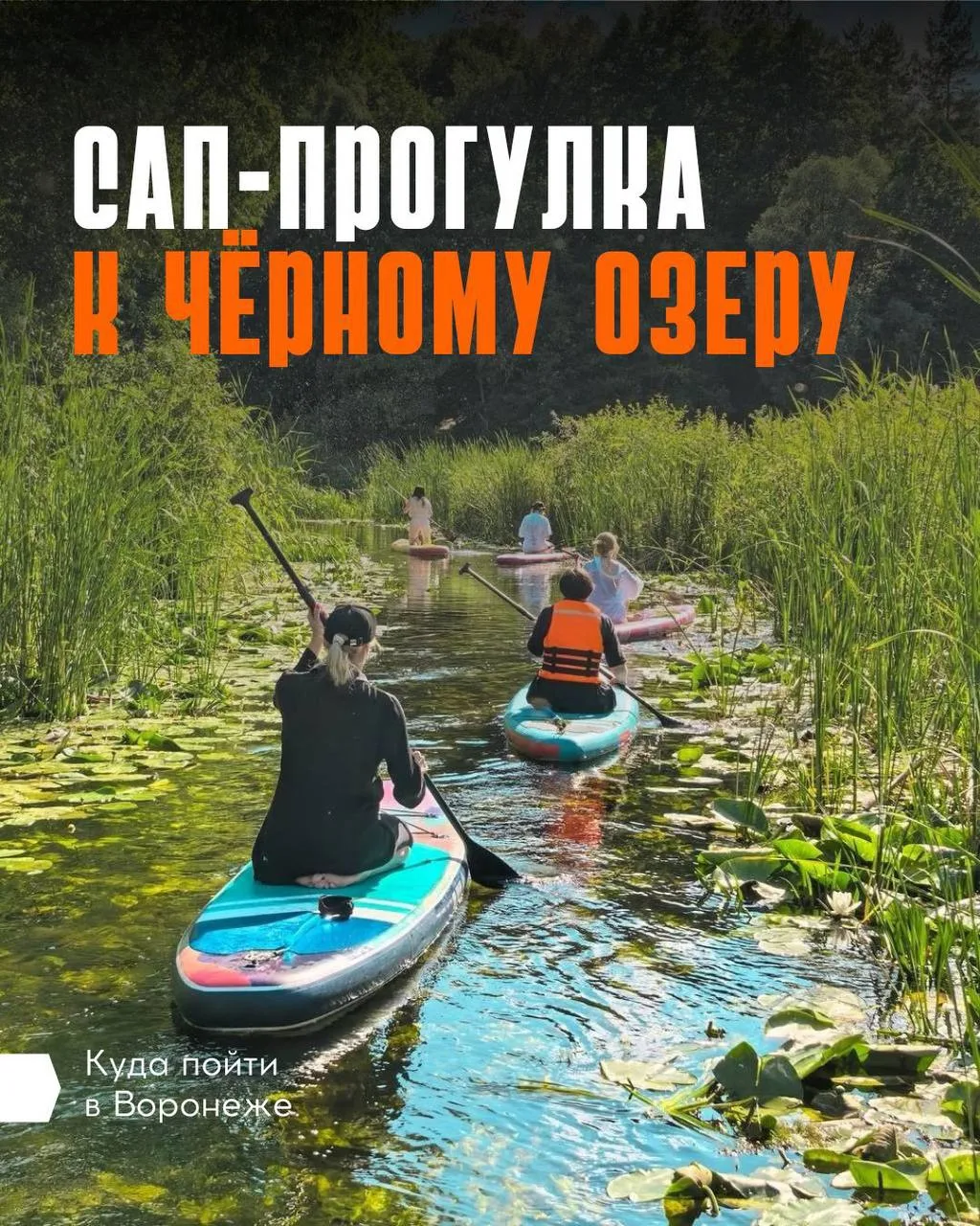 ☀️ Ловим летнее настроение на сапах