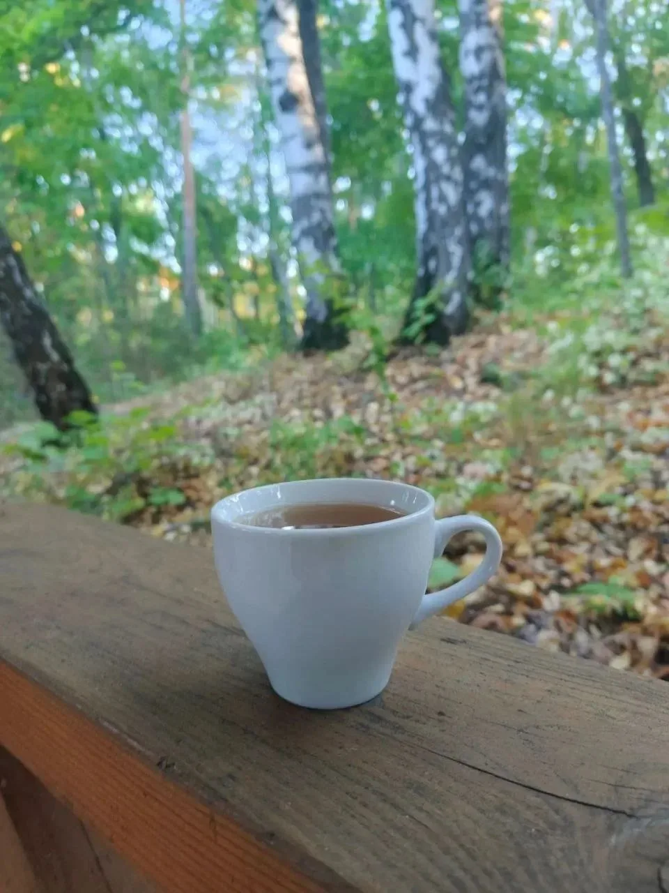 🌧️ 3 октября: мокрый снег, дождь и гололедица