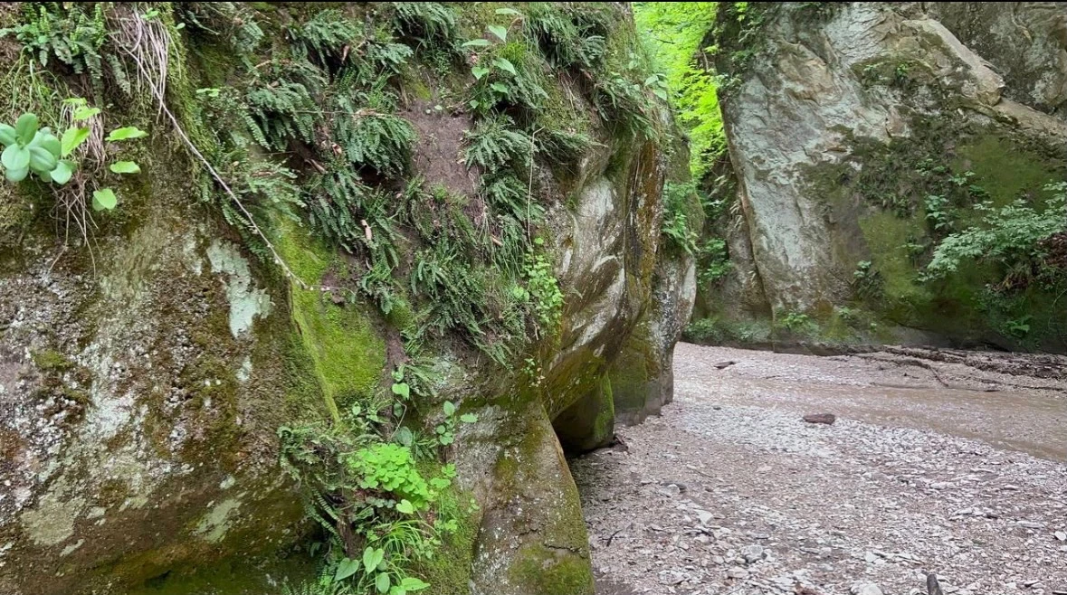 Наши дети побывали в сказке! 🏞️ Сегодня они открыли для себя магию Нихлоевских водопадов. Это место