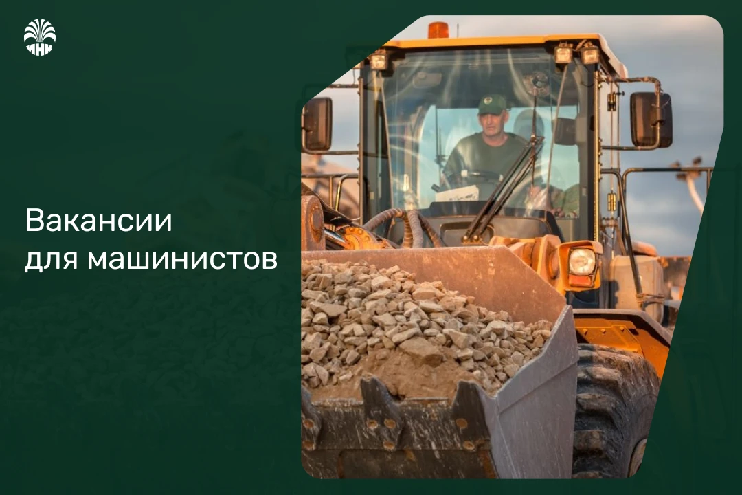 Вахтовые вакансии недели в ИНК 🛠


Комфортная вахта 35/35 в северных районах Иркутской области, офи