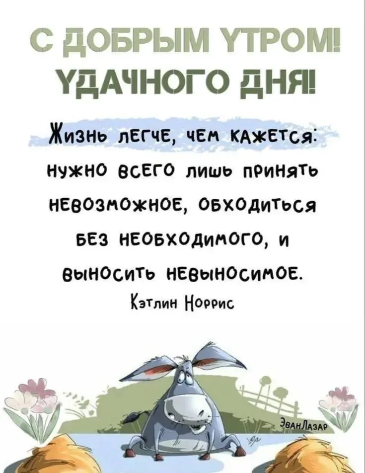 Юмор в открытках
