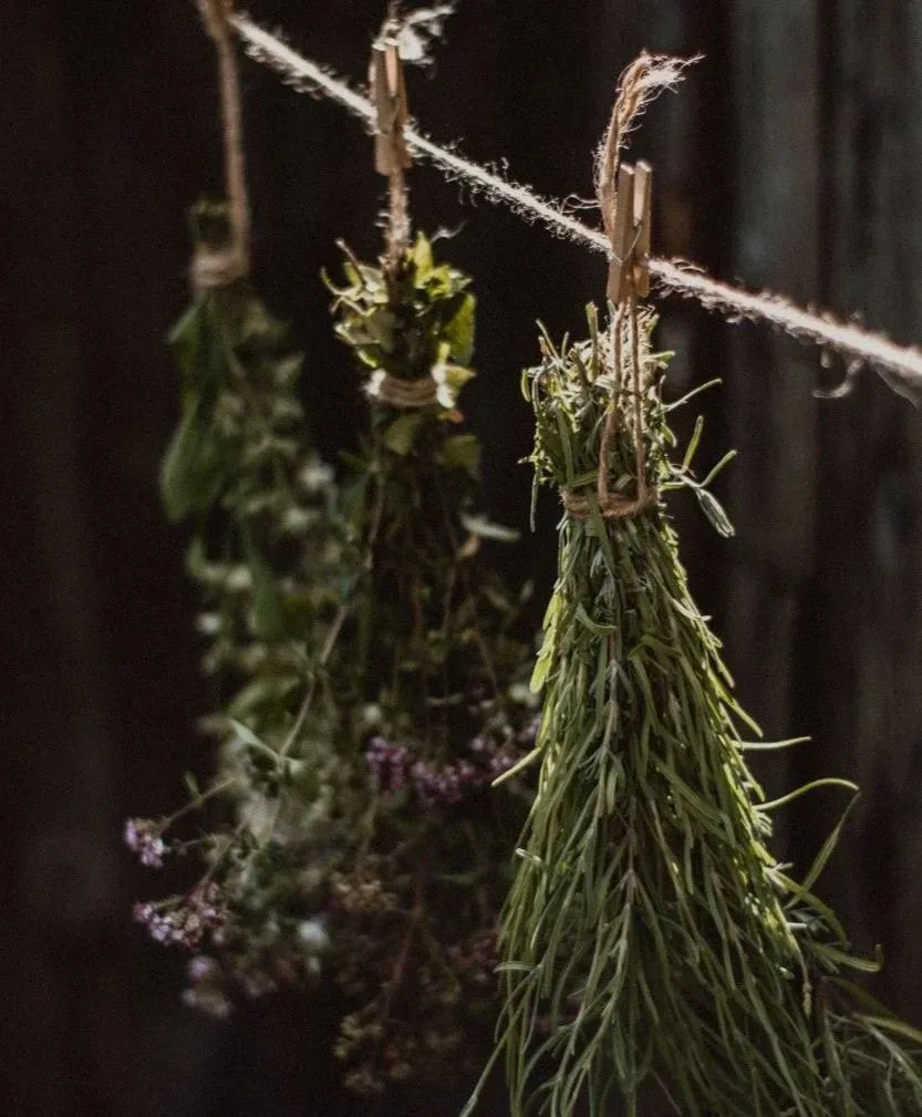 🌿 Аграфена Купальница — день сбора трав