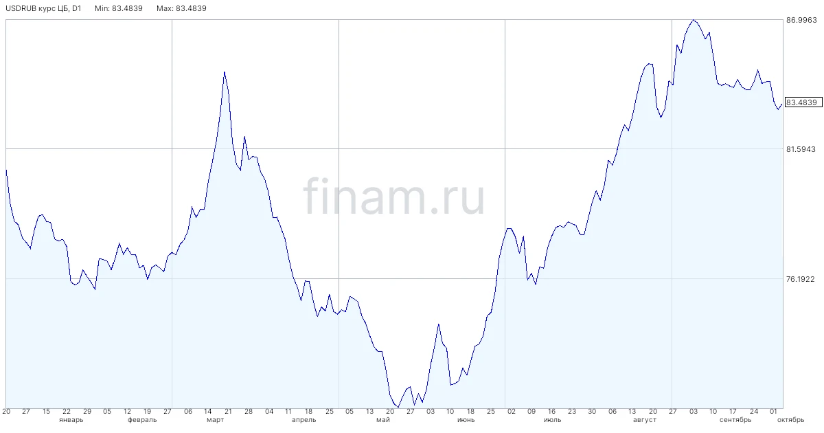 Покупки валюты Минфином - не главный фактор для рубля
