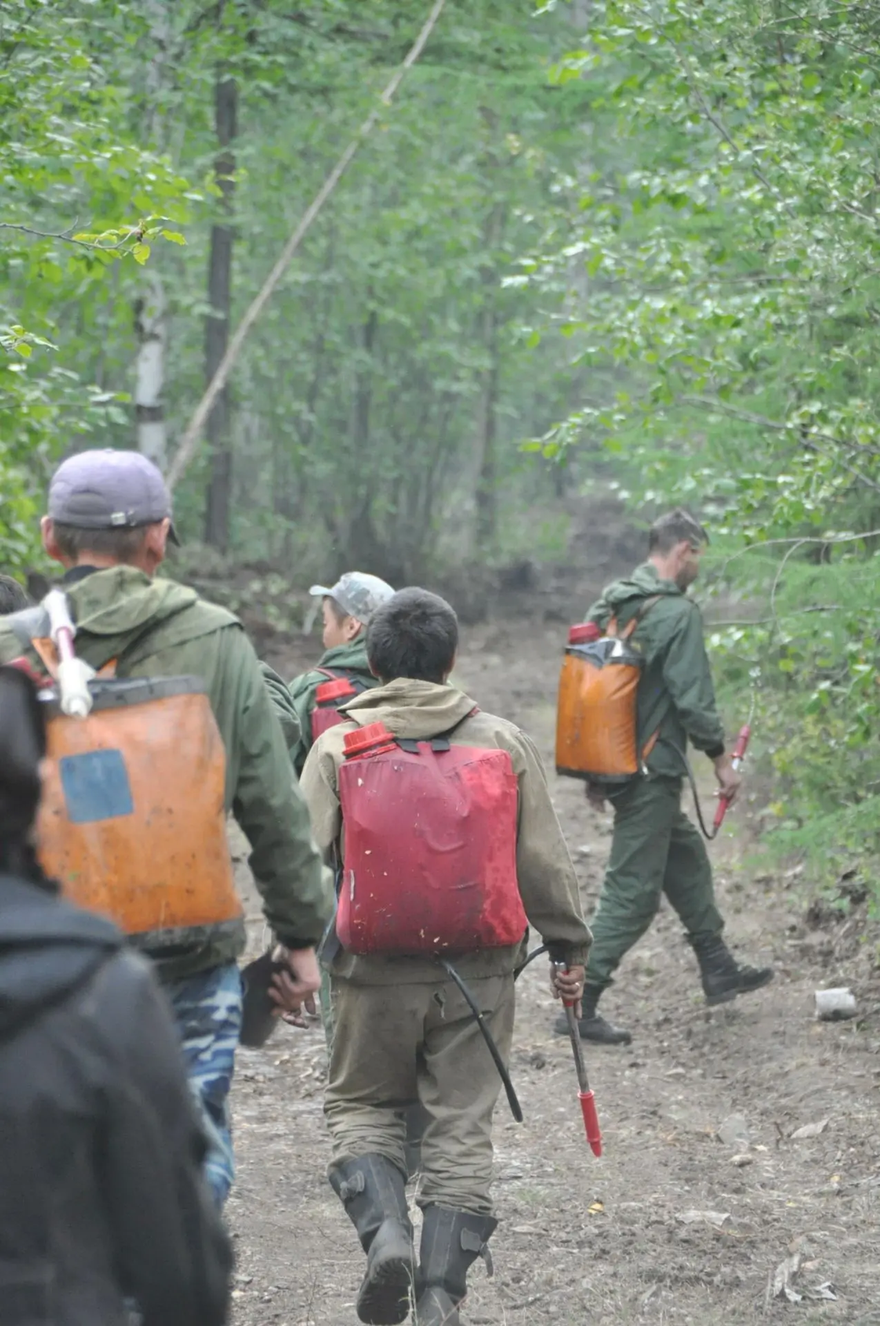 ⚠️ В лесах Мирнинского района сохраняется ЧС муниципального характера. Число пожаров на...