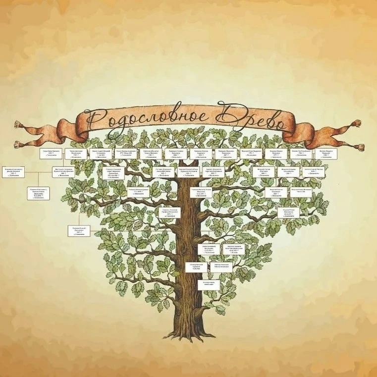 Индивидуальные консультации по составлению родословной семьи 🌳