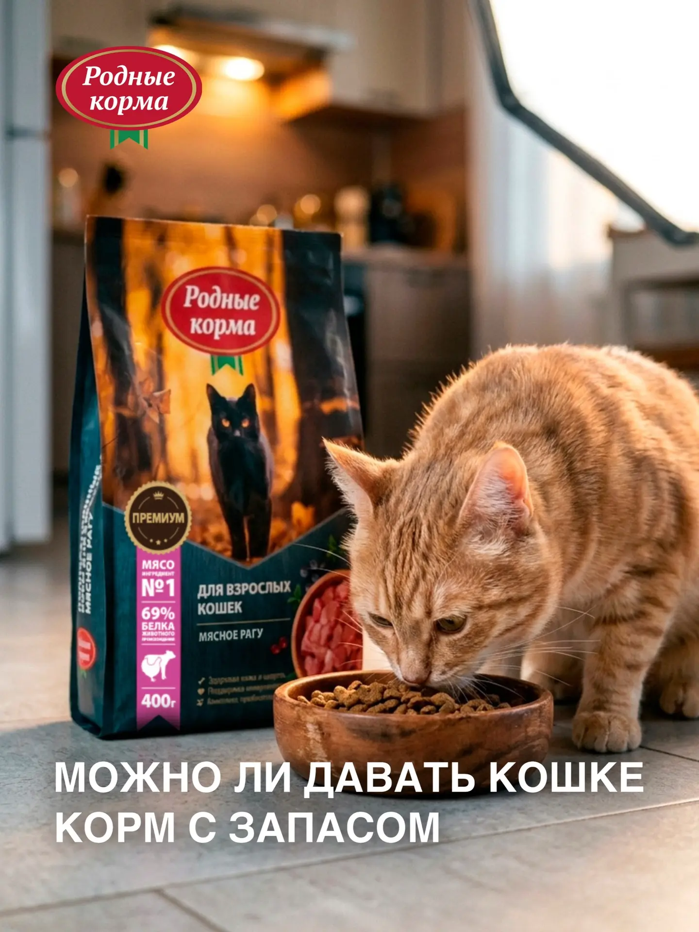 🐈️‍⬛️ Можно ли насыпать кошке корм с запасом?