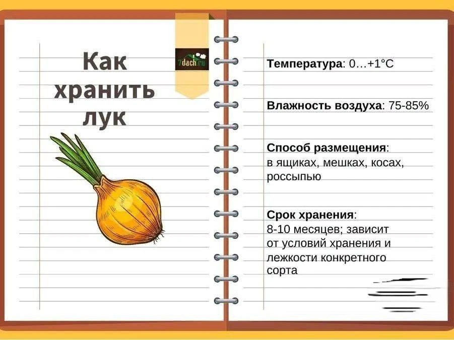 Шпаргалка: Как хранить овощи?