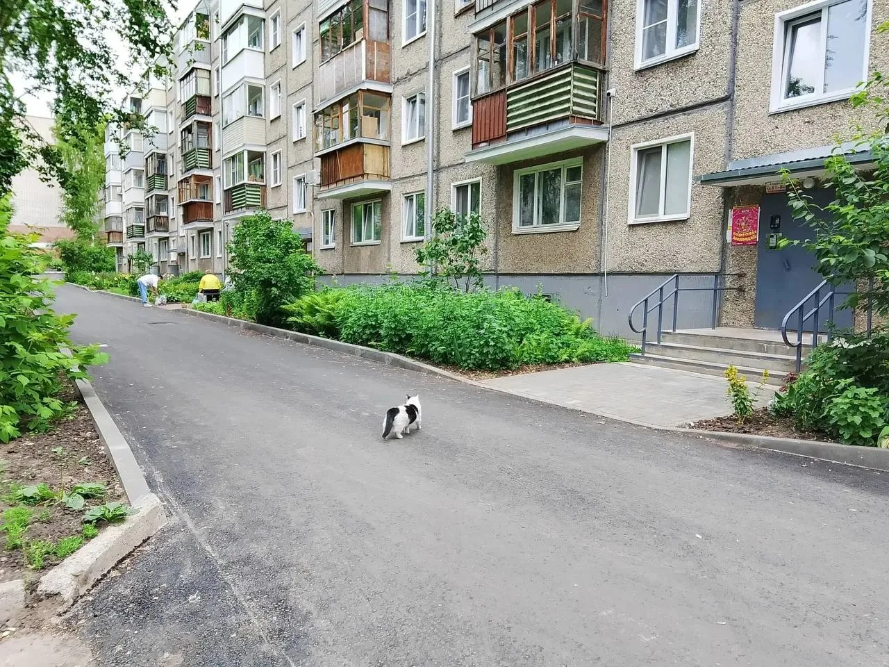 "Двор не благоустраивался десятки лет и в последнее время стал практически не проезжим"

В Кирове ре