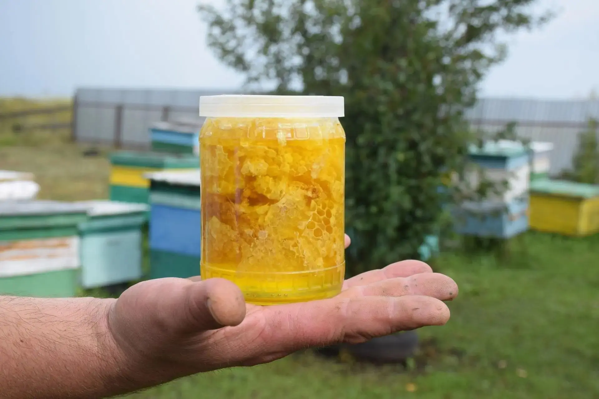 🐝 Паспорт для мёда: в Нурлатском районе продолжается масштабная паспортизация пасек