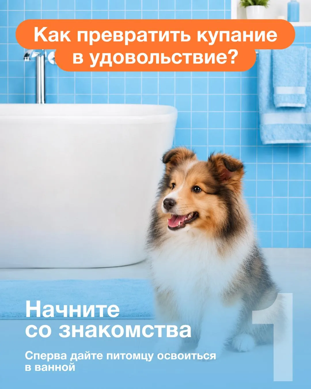 🐶 Как приучить щенка или котёнка к купанию и другим процедурам?