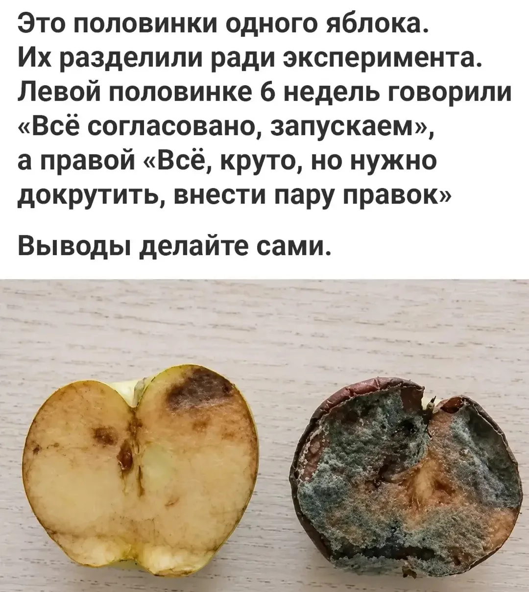 На этом мои полномочия всё😆 С пятницей!