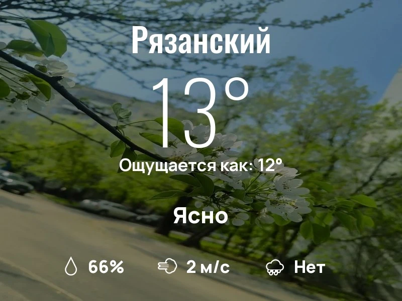 Что с погодой в Рязанском?