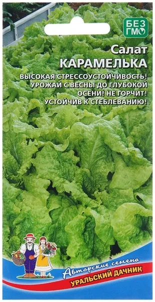 🍃🥗 В супермаркетах часто можно наткнуться на горшочки с салатом, но их вкус, как правило, оставляет 
