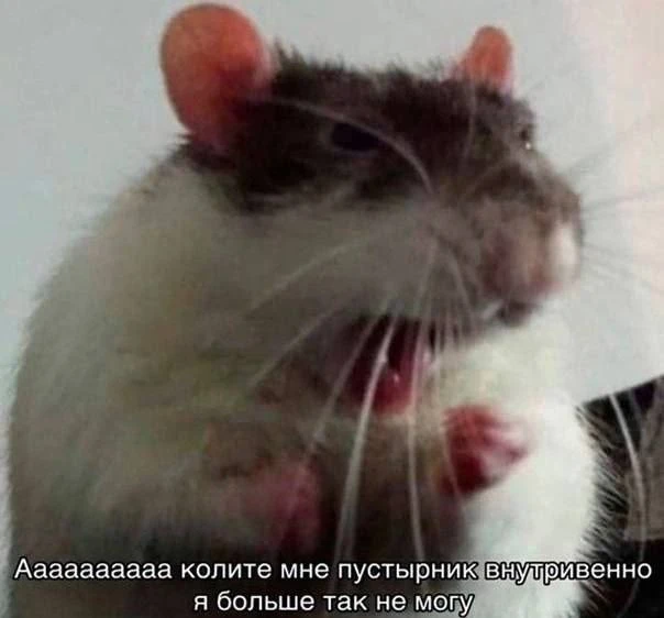 Всем продуктивной последней рабочей недели июля 😳
