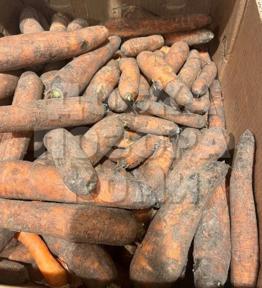 В сыктывкарских магазинах, таких как "Пятёрочка" (Советская, 2/2) и "Магнит" (Ленина, 2...