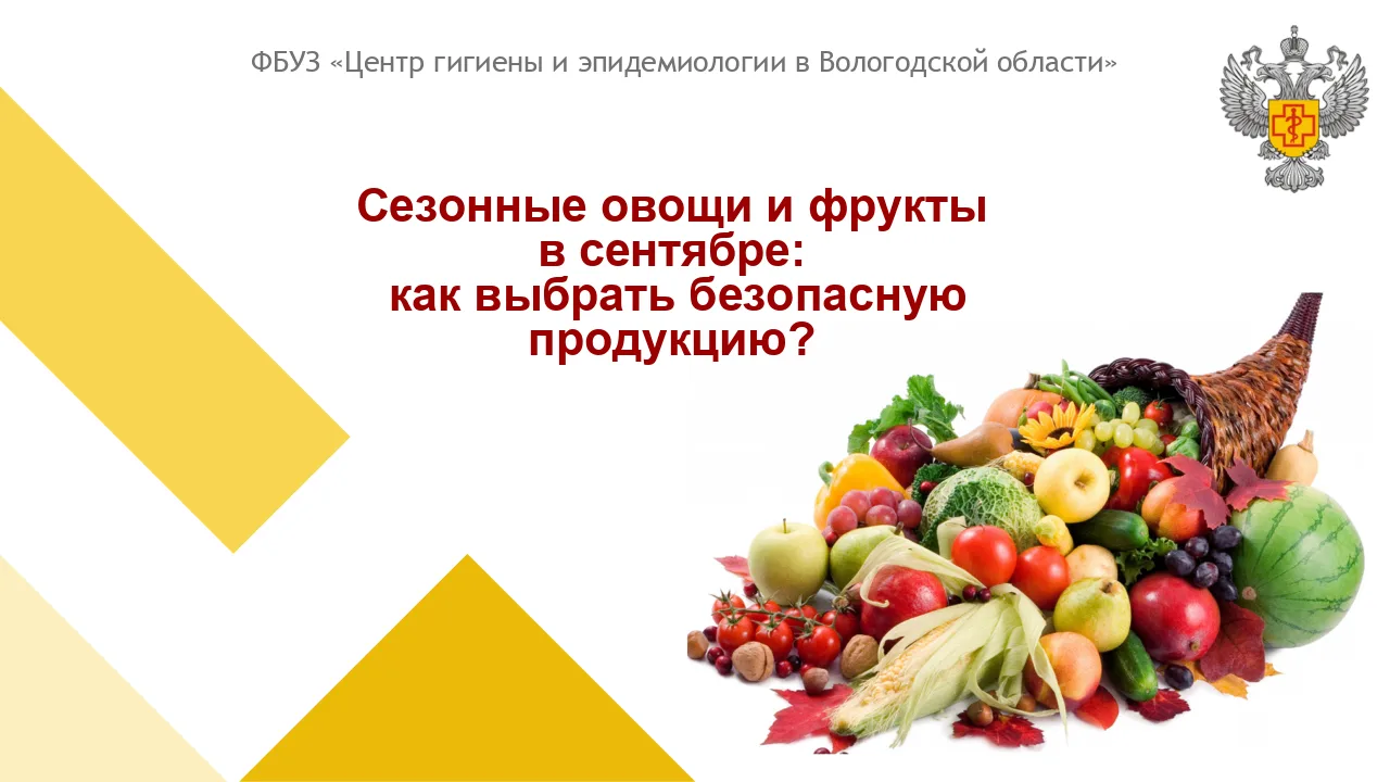 Сентябрь — это время богатого урожая. К сожалению, вместе с витаминами и удовольствием ...