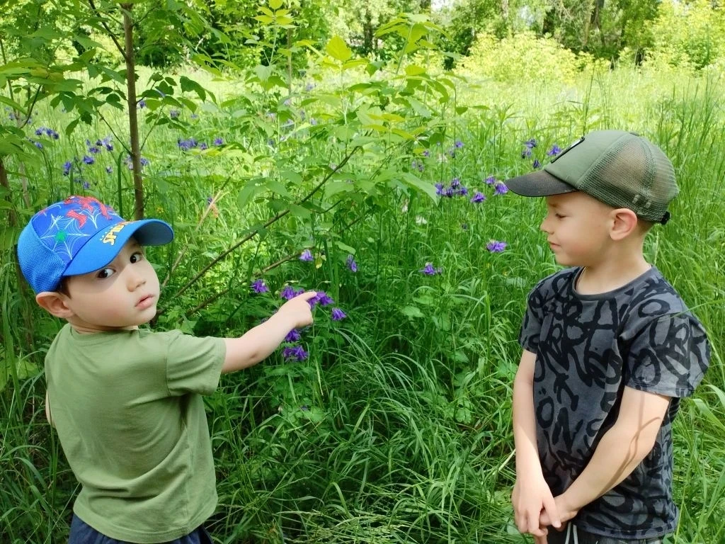 🌞 Солнышко в траве: наш весёлый День полевых цветов

🌼 Сегодня под руководством воспитателя Парфен