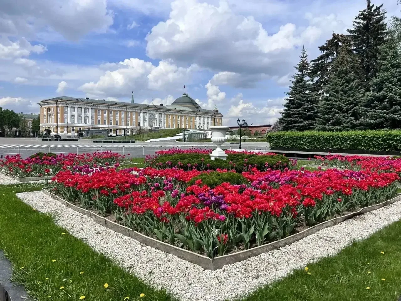 #экскурсионныйэкспресс  🏛️ Москва, Кремль, История, которая оживает 🇷🇺  Ученики 7 Г класса отправили