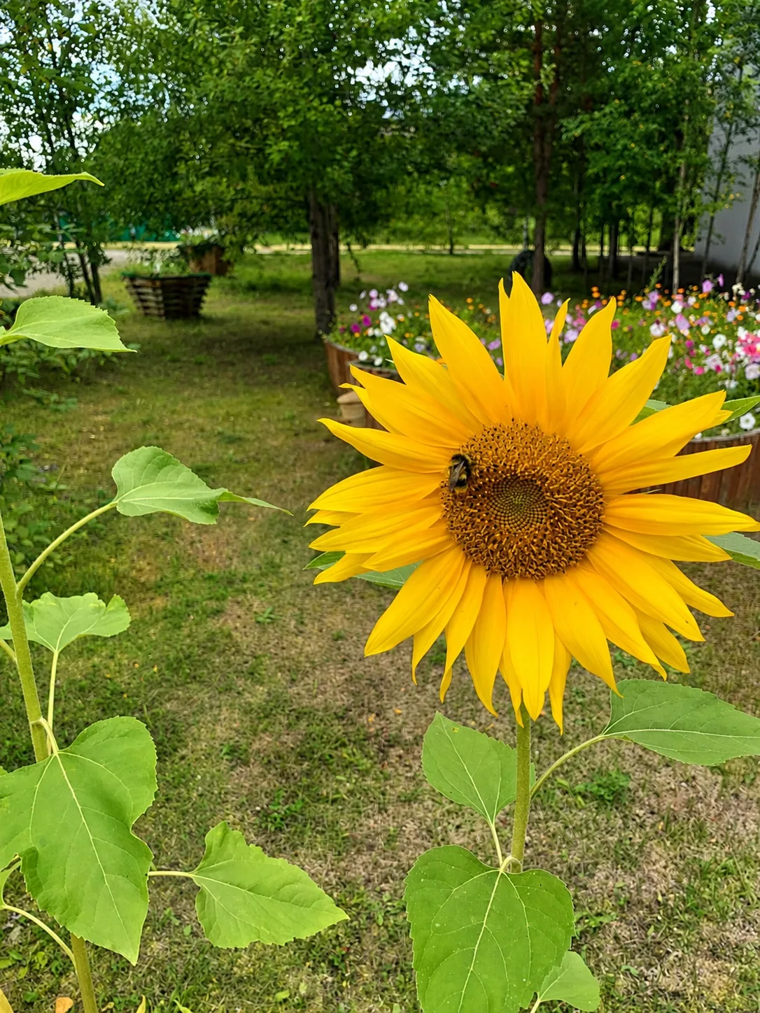 🌻 **Дом начинается не со стен