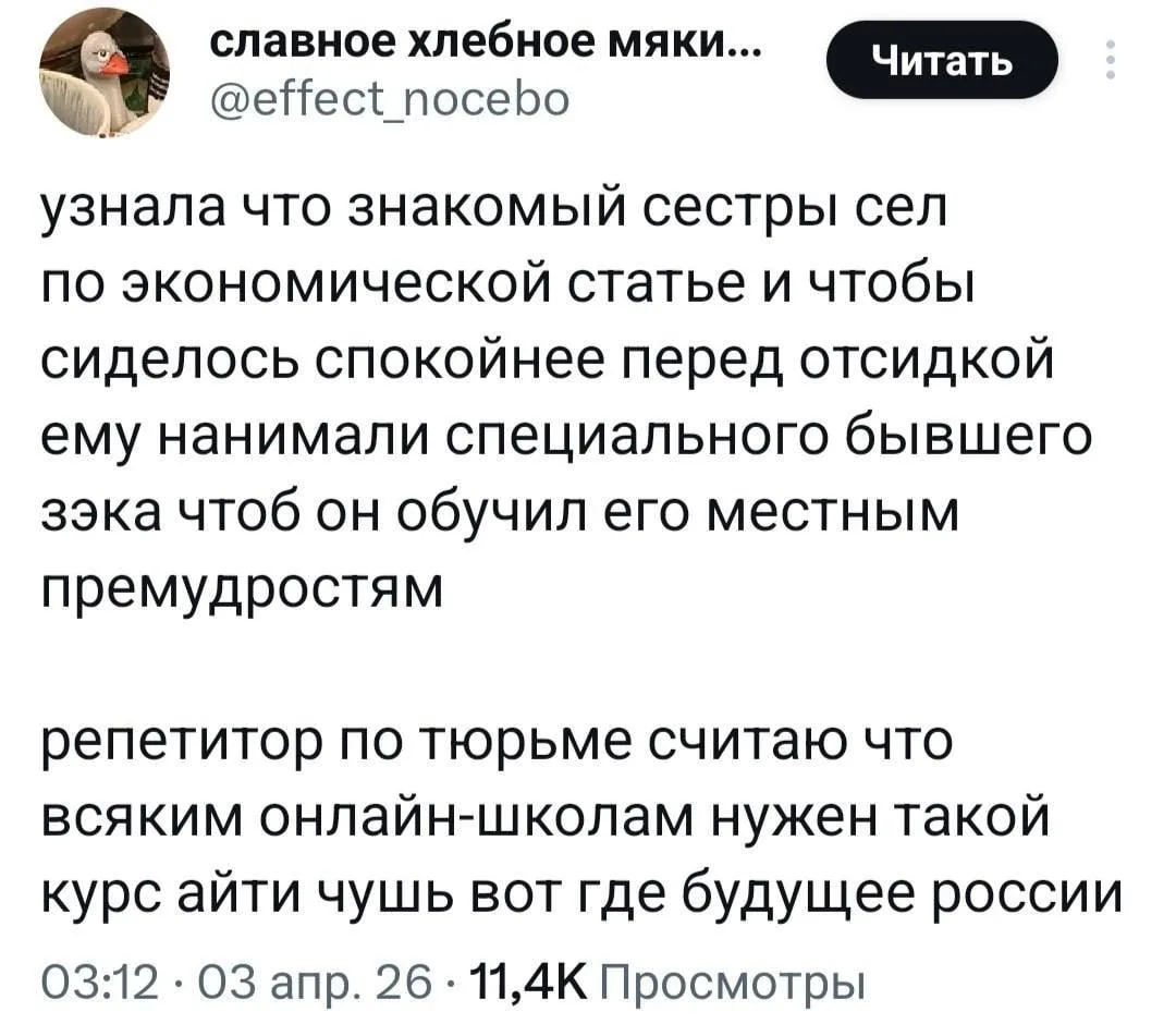 В России стали популярны «репетиторы по тюрьме». 

Бывшие заключённые за деньги учат людей, которым 