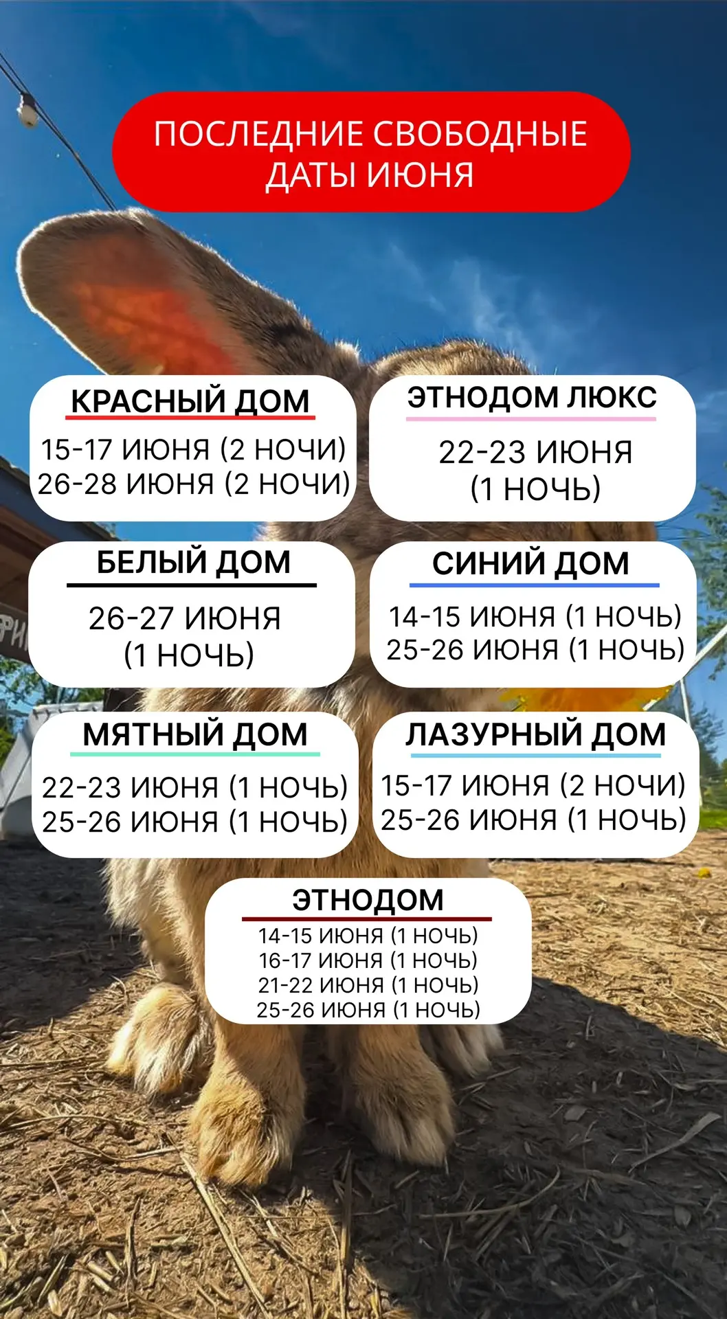 ВСЕ ДАТЫ ИЮНЯ❗️

Первый месяц лета — долгожданный отдых, тепло и безграничное наслаждение красками п