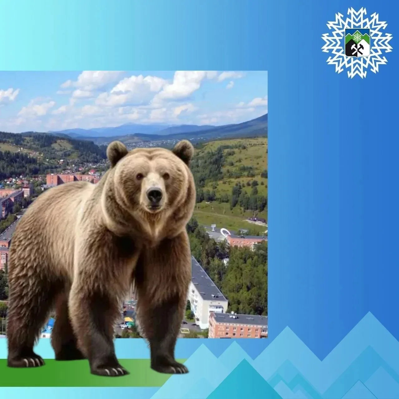 🐻 Внимание, родители и друзья нашего детского сада! 🐻