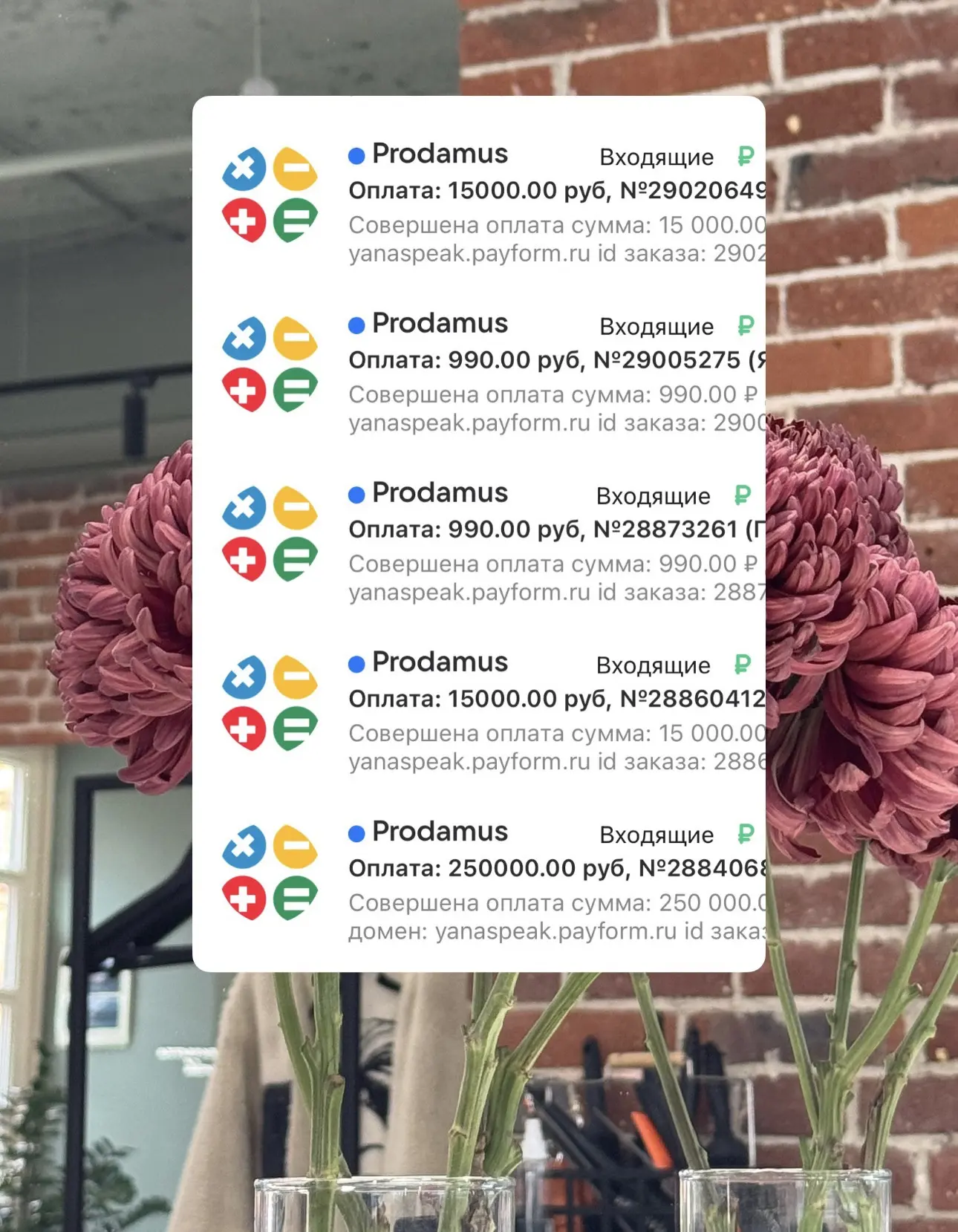 Медиа публикации