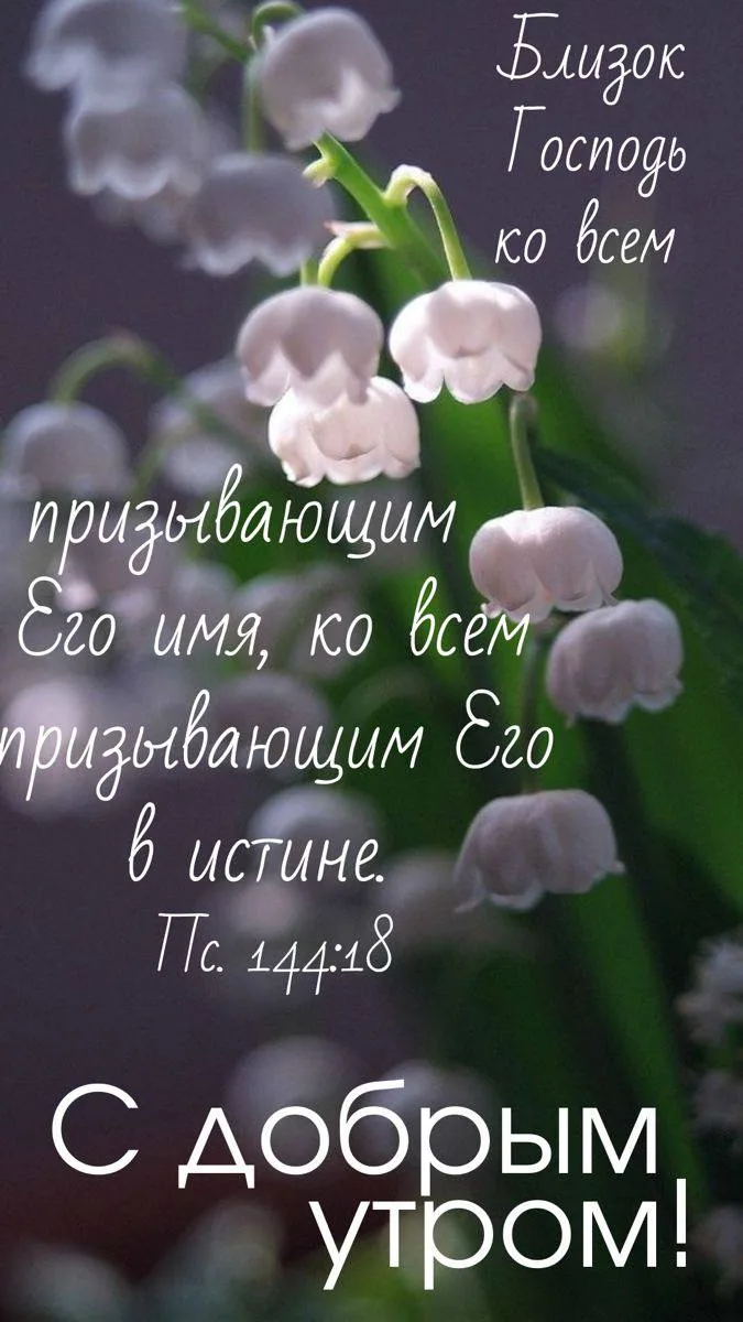 ❤️❤️❤️❤️Открытки❤️❤️❤️❤️
Теперь и в MAX