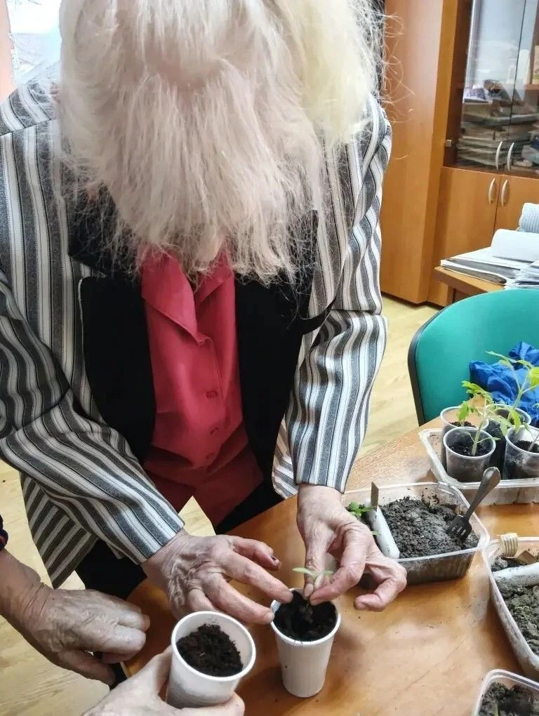 ✨Забота о будущем урожае ⁣ 🏡🌱Проживающие Холмовского дома-интерната для престарелых и инвалидов успе