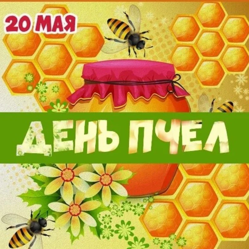 🐝 Жу-жу-жу — сегодня День пчёлок! 🍯