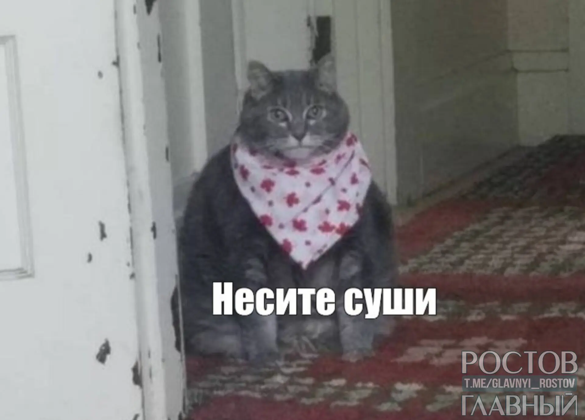 🍣 Сегодня Международный день суши.