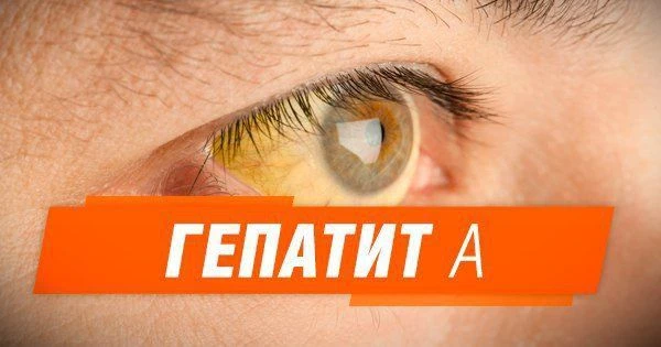 О мерах по профилактике вирусного гепатита А в период весеннего паводка