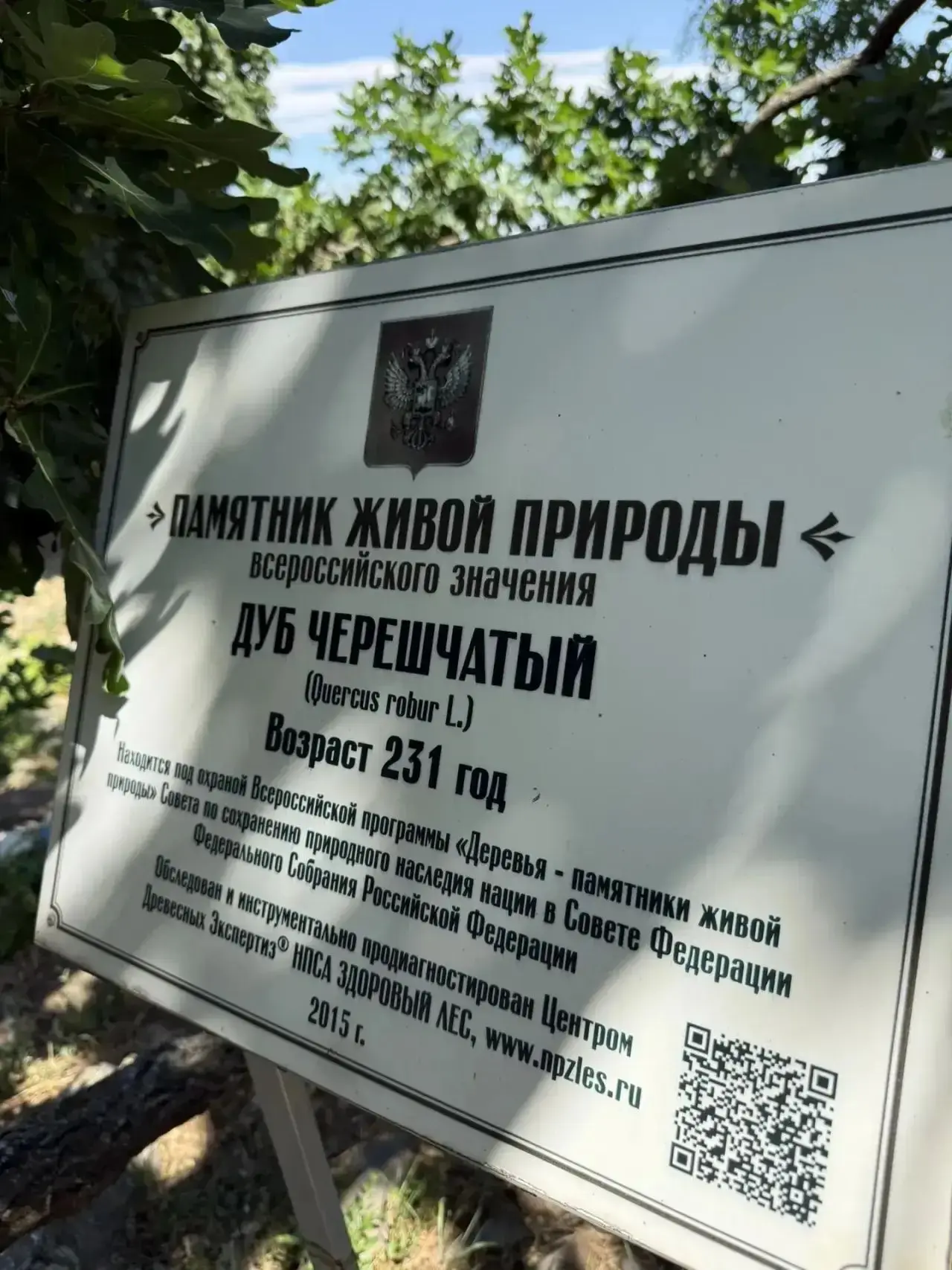 📌Участие в фотоконкурсе "Волго-Донской край сквозь объектив"