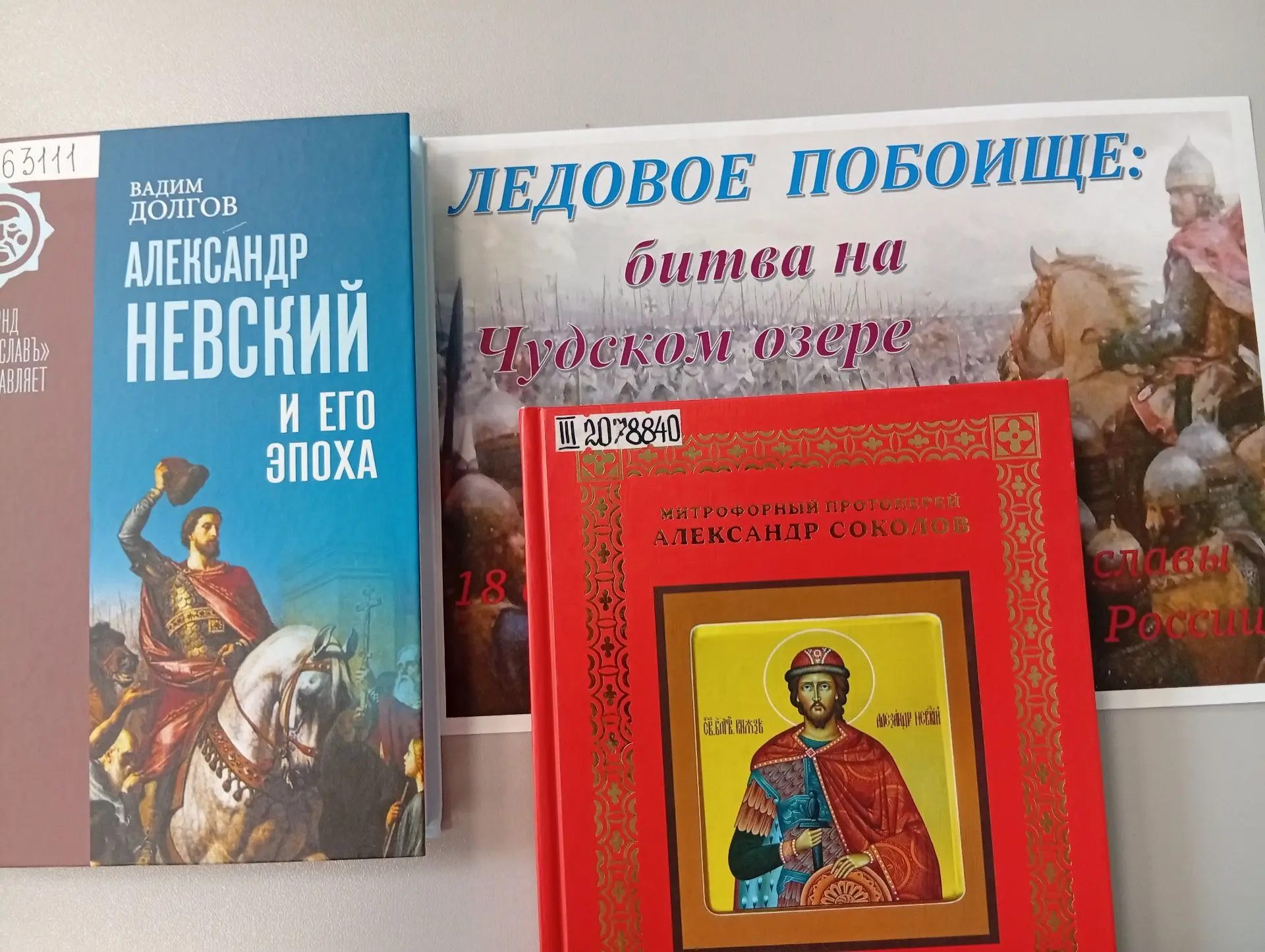 📖 Книжная выставка «И была тут битва великая…»