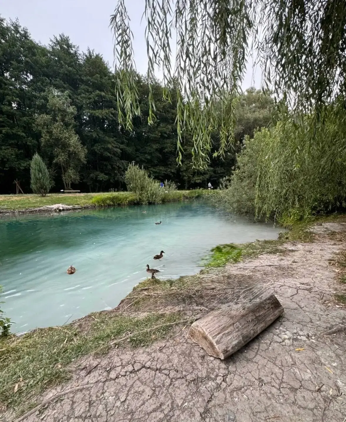 Сербай София принимает участие в фотовыставке «Родина-Россия».
📸📷📸📷
#РисуйРоссия
#Родинойгоржусь
