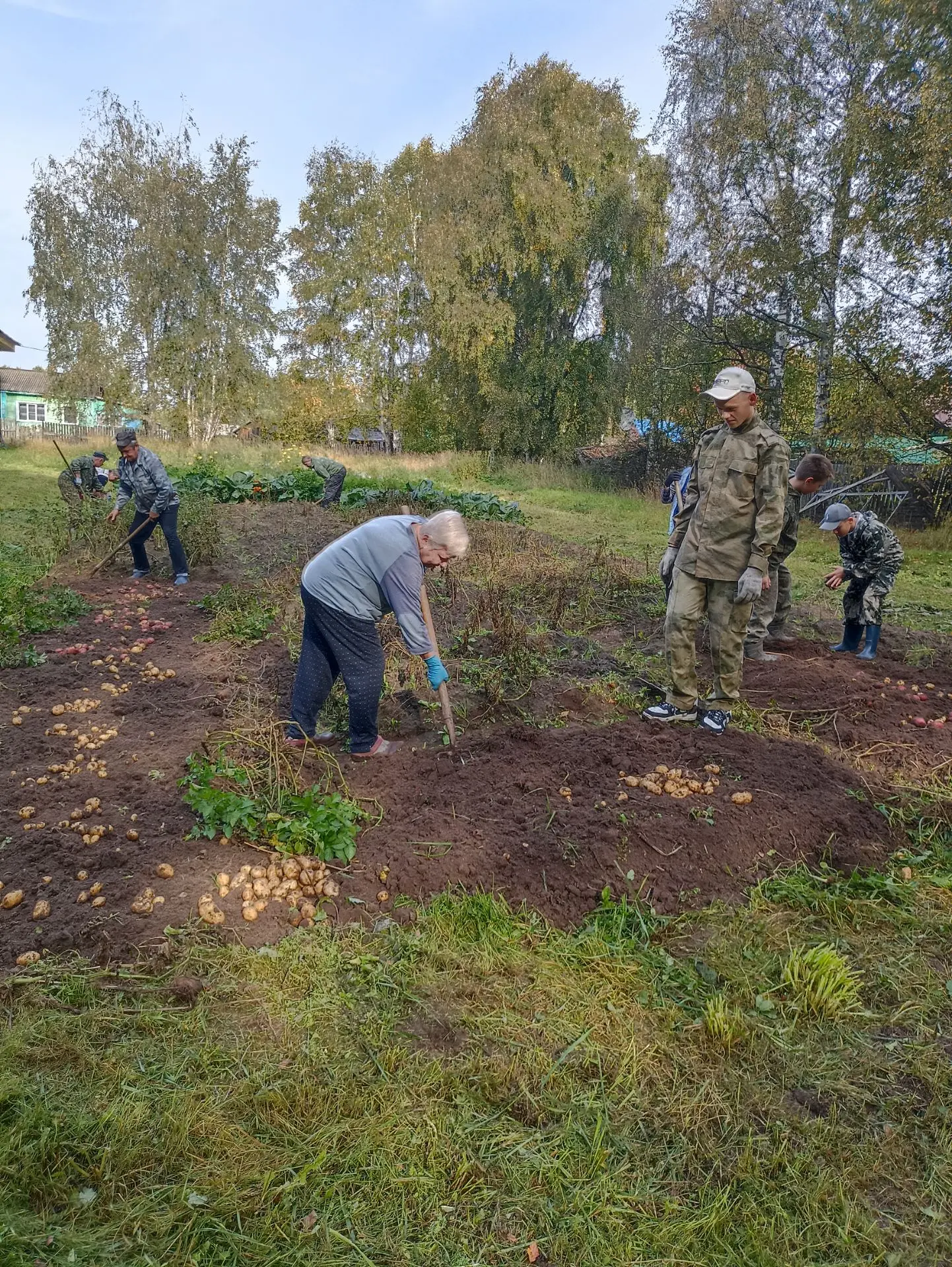 Пришла пора убирать урожай. Школьники, педагоги и работники вместе принялись за дело.
