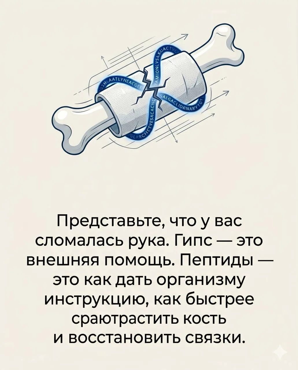 Топ-5 мифов о пептидах, в которые я тоже когда-то верила (спойлер: зря)  Когда многие начинают разби
