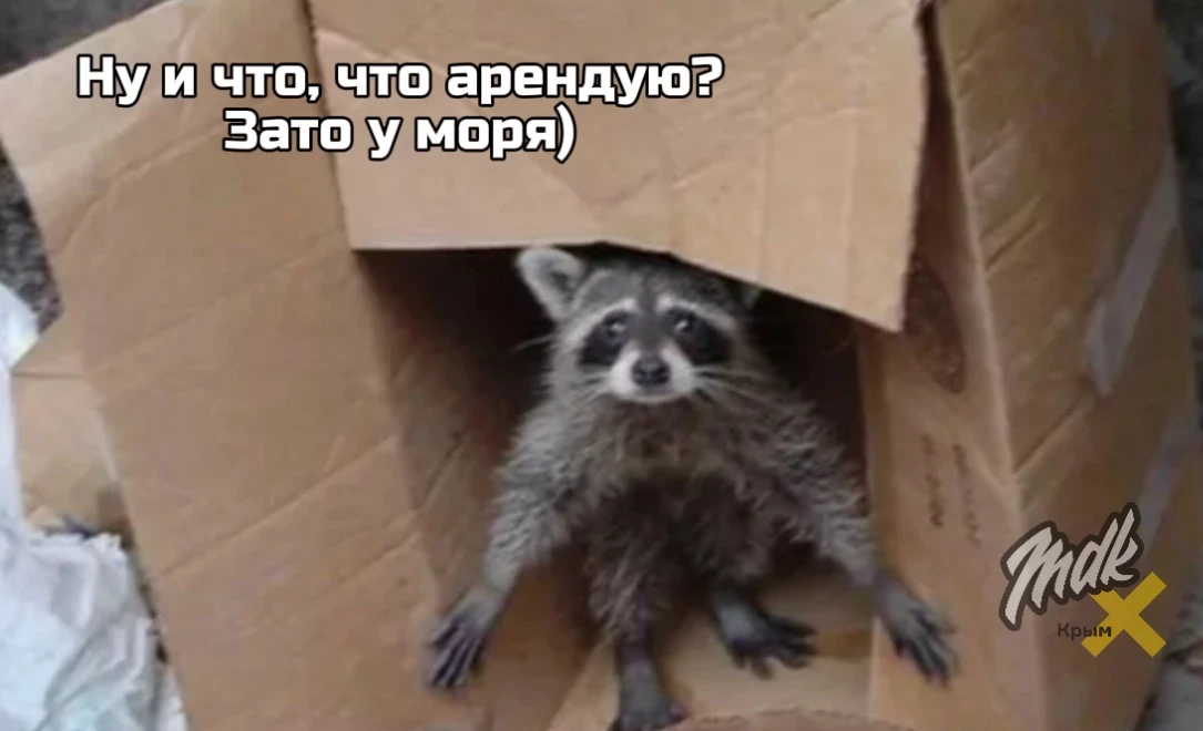 Крым и Севастополь оказались среди регионов с наименее доступной ипотекой в 2026 году
