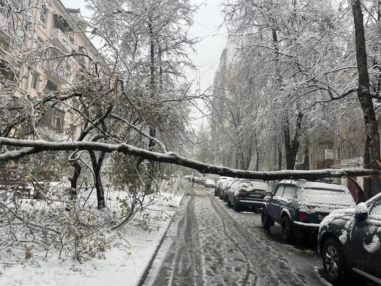В столице объявлен оранжевый уровень погодной опасности из-за гололедицы, сильного ветра до 23 м/с и