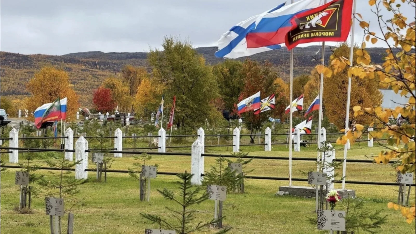 В Спутнике высадили сосны в память о защитниках Родины.