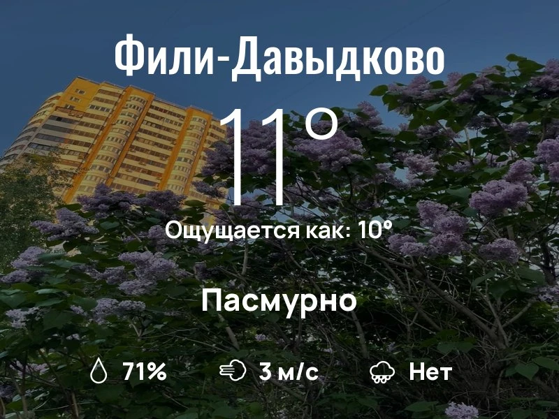 Что с погодой в Фили-Давыдково?