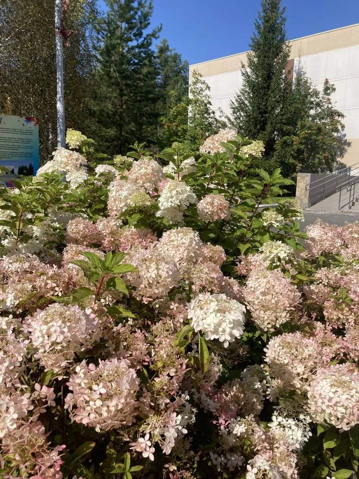 28 августа:28 августа :