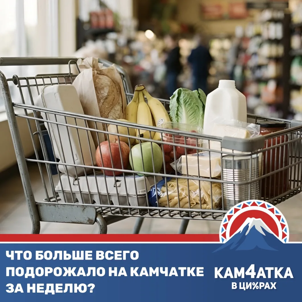 Как изменились цены на товары и услуги в крае с 11 по 17 августа?