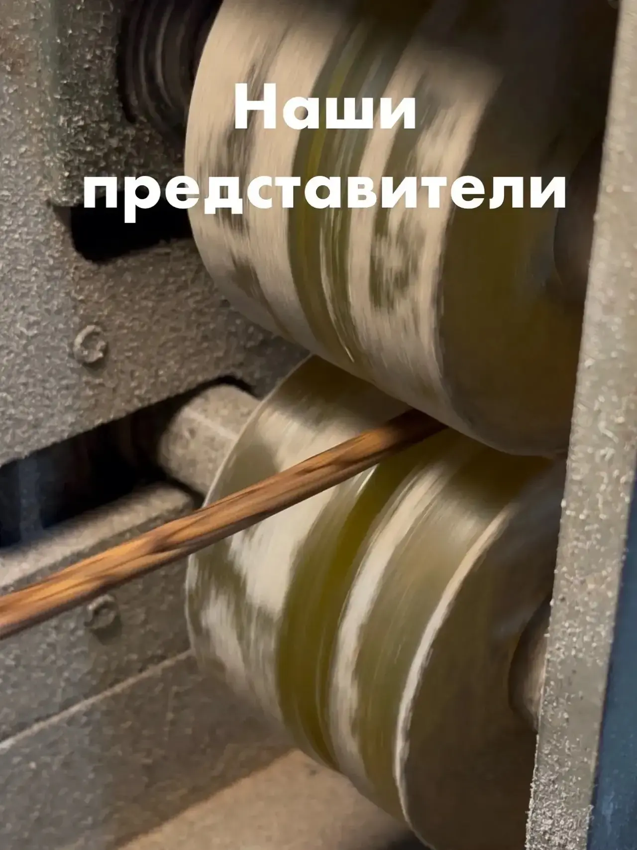 Представители фабрики Ratteco: