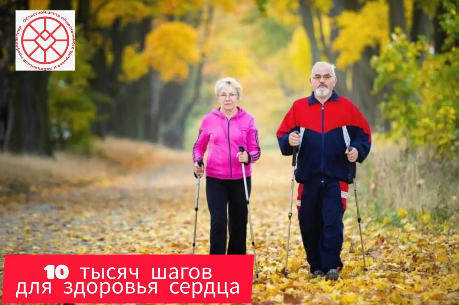 Знаете, какое самое простое и приятное лекарство для сердца? Обычная прогулка! Не нужен...