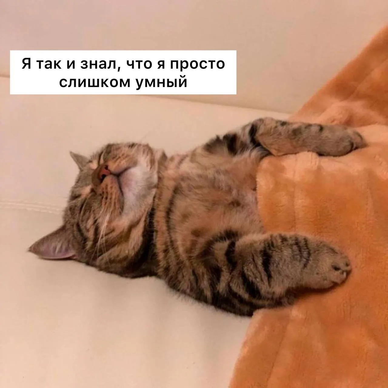 Поздно ложиться спать — признак высокого интеллекта, — считают ученые